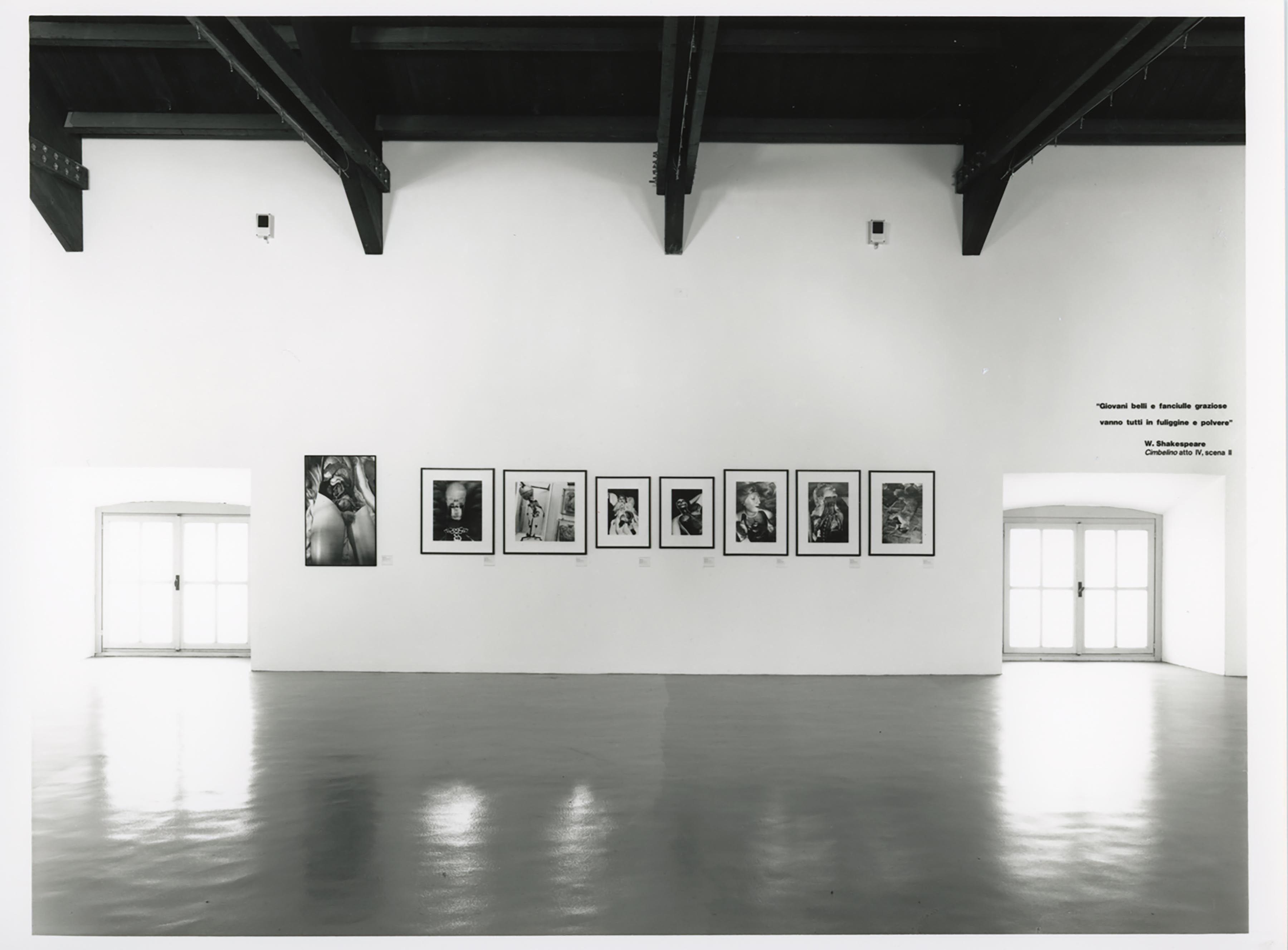 u0022Helmut Newtonu0022, installation view